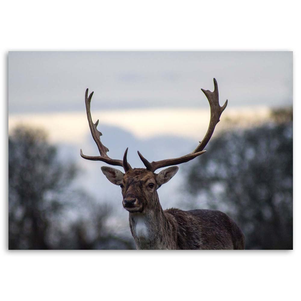 Emaga Obraz na płótnie, Jeleń - 100x70